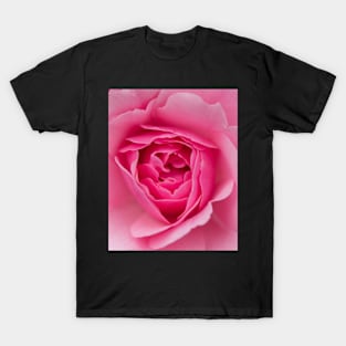 Rose Bloom (as shot) T-Shirt